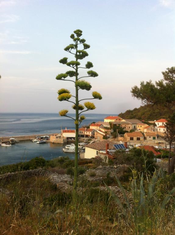 Apartments Katja Mali Lošinj Dış mekan fotoğraf